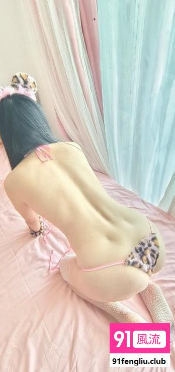 雁塔粉乳小花豹